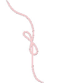 Pink shoe lace up and down